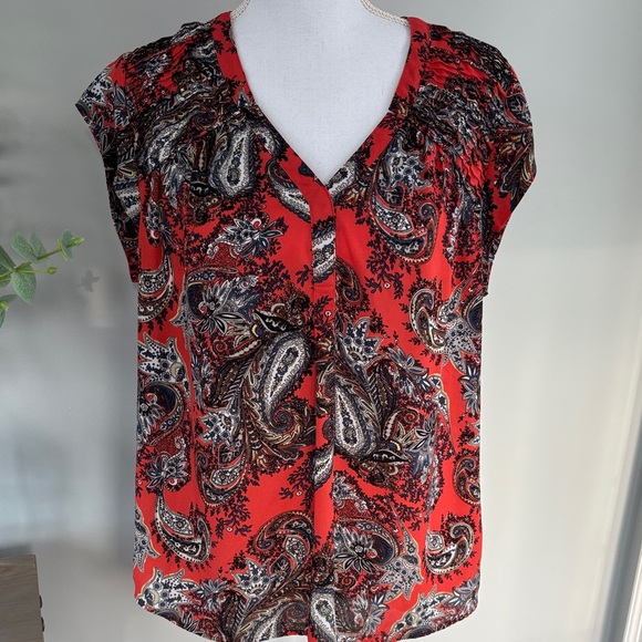 Daniel Rainn Tops - Daniel Rainn Top L